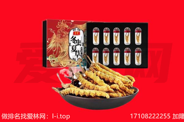北京顺义区回收虫草.jpg